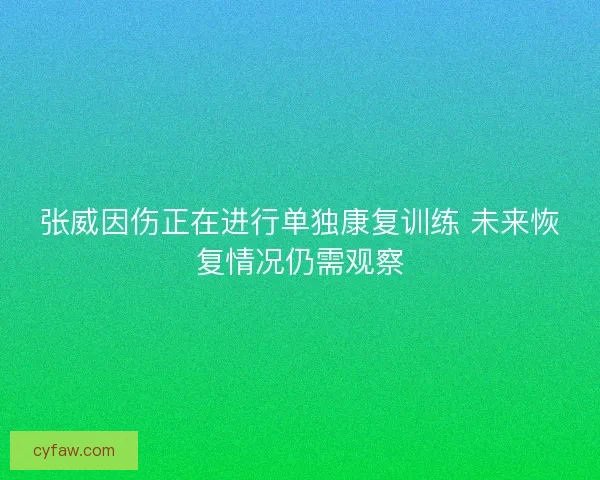 张威因伤正在进行单独康复训练 未来恢复情况仍需观察
